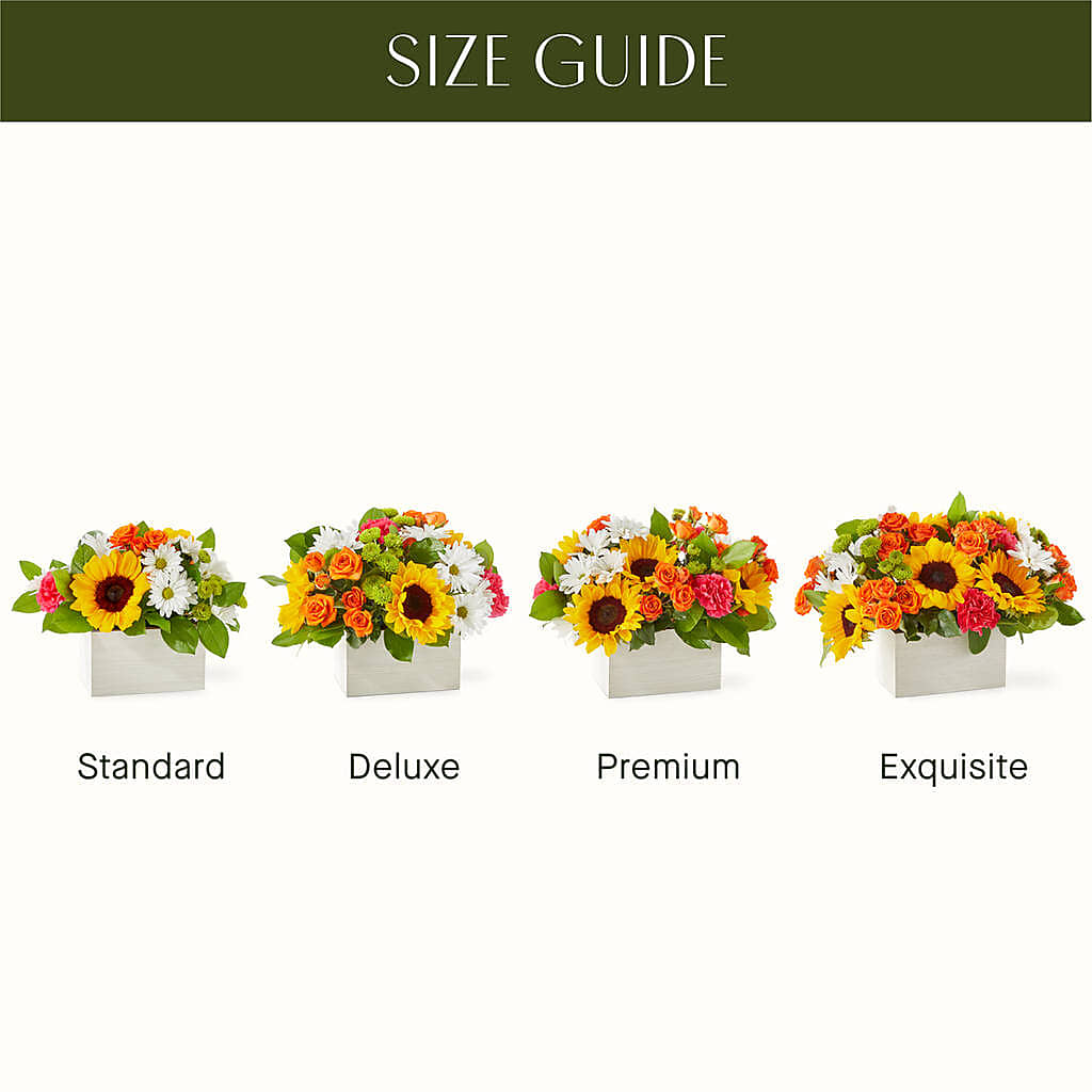 Sun-drenched Blooms Box Bouquet – POTTING BENCH FLORIST & GIFTS, Fairhaven MA
