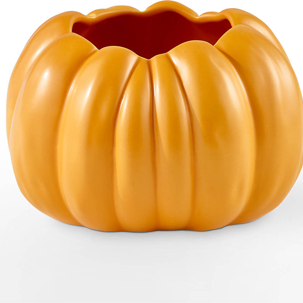 Pick of the Patch Pumpkin Bouquet – POTTING BENCH FLORIST & GIFTS, Fairhaven MA