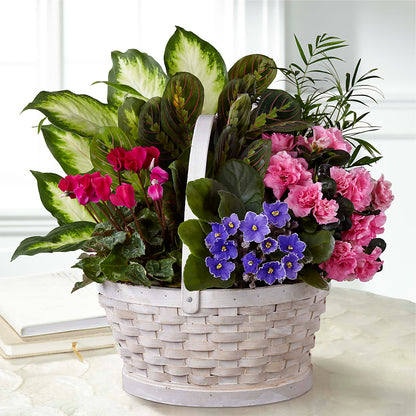 Peaceful Garden Planter – POTTING BENCH FLORIST & GIFTS, Fairhaven MA