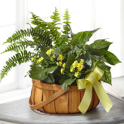 Always Dear Dishgarden – POTTING BENCH FLORIST & GIFTS, Fairhaven MA