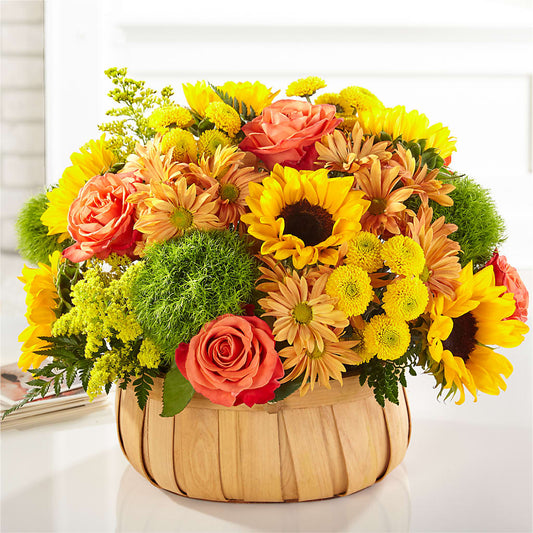 Harvest Sunflower Basket – POTTING BENCH FLORIST & GIFTS, Fairhaven MA