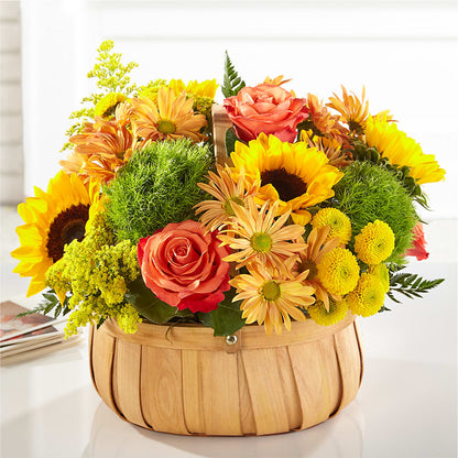 Harvest Sunflower Basket – POTTING BENCH FLORIST & GIFTS, Fairhaven MA