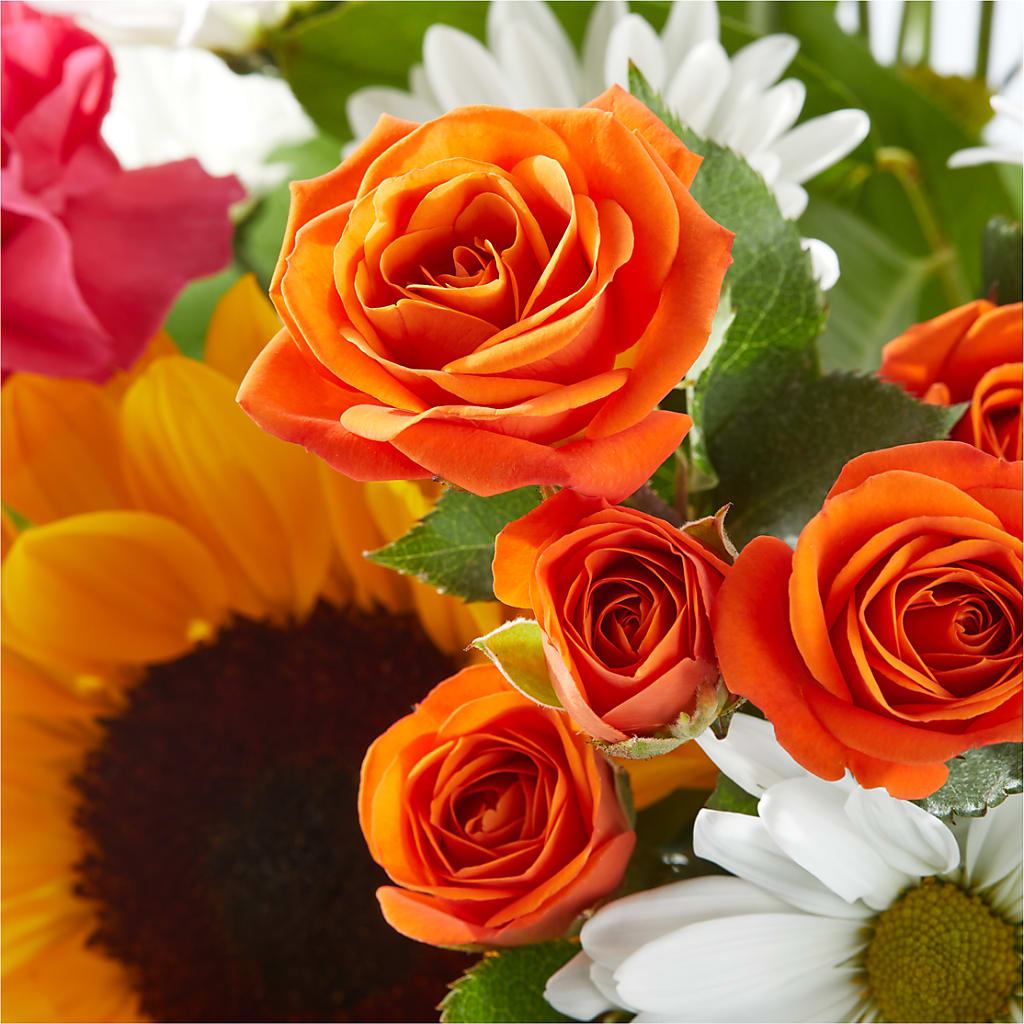 Sun-drenched Blooms Bouquet – POTTING BENCH FLORIST & GIFTS, Fairhaven MA