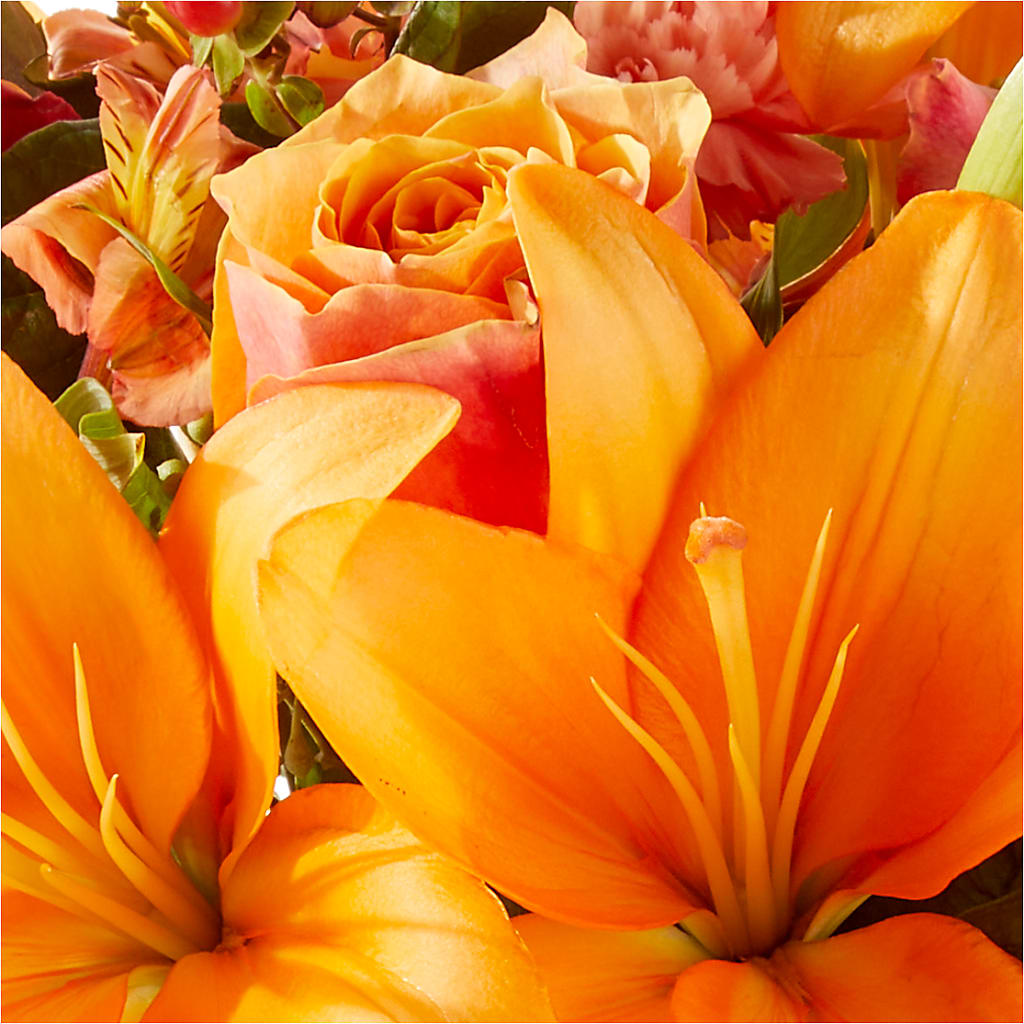 Afternoon Light Bouquet – POTTING BENCH FLORIST & GIFTS, Fairhaven MA