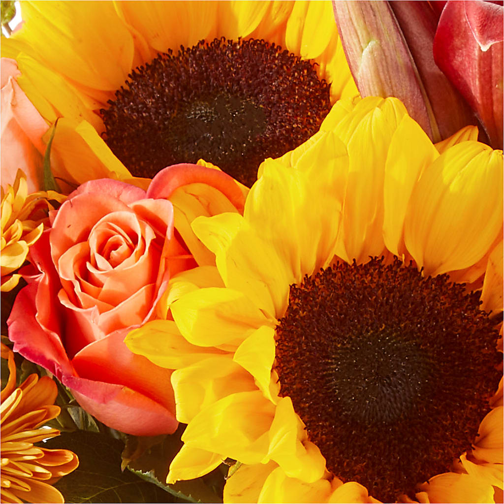 Acorn Lane Bouquet – POTTING BENCH FLORIST & GIFTS, Fairhaven MA