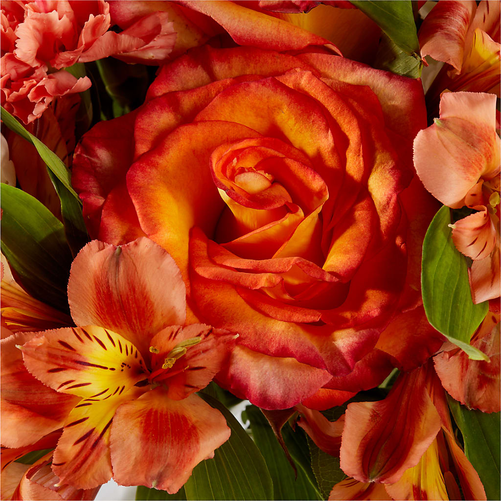 Apricot Glow Bouquet – POTTING BENCH FLORIST & GIFTS, Fairhaven MA