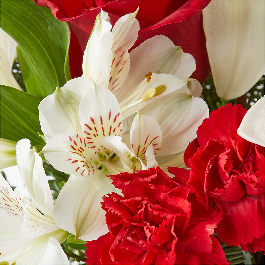 Holiday Season Bouquet – POTTING BENCH FLORIST & GIFTS, Fairhaven MA