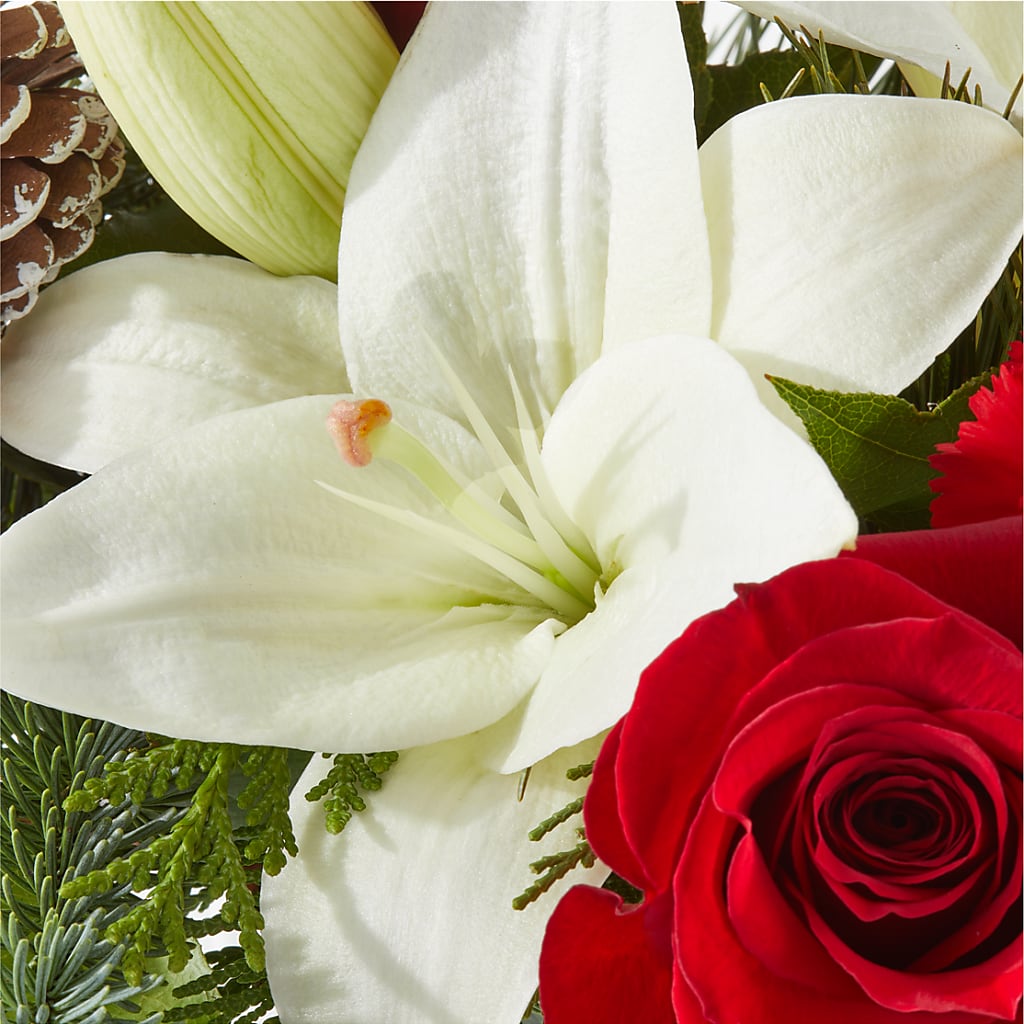 Oh So Jolly Bouquet – POTTING BENCH FLORIST & GIFTS, Fairhaven MA