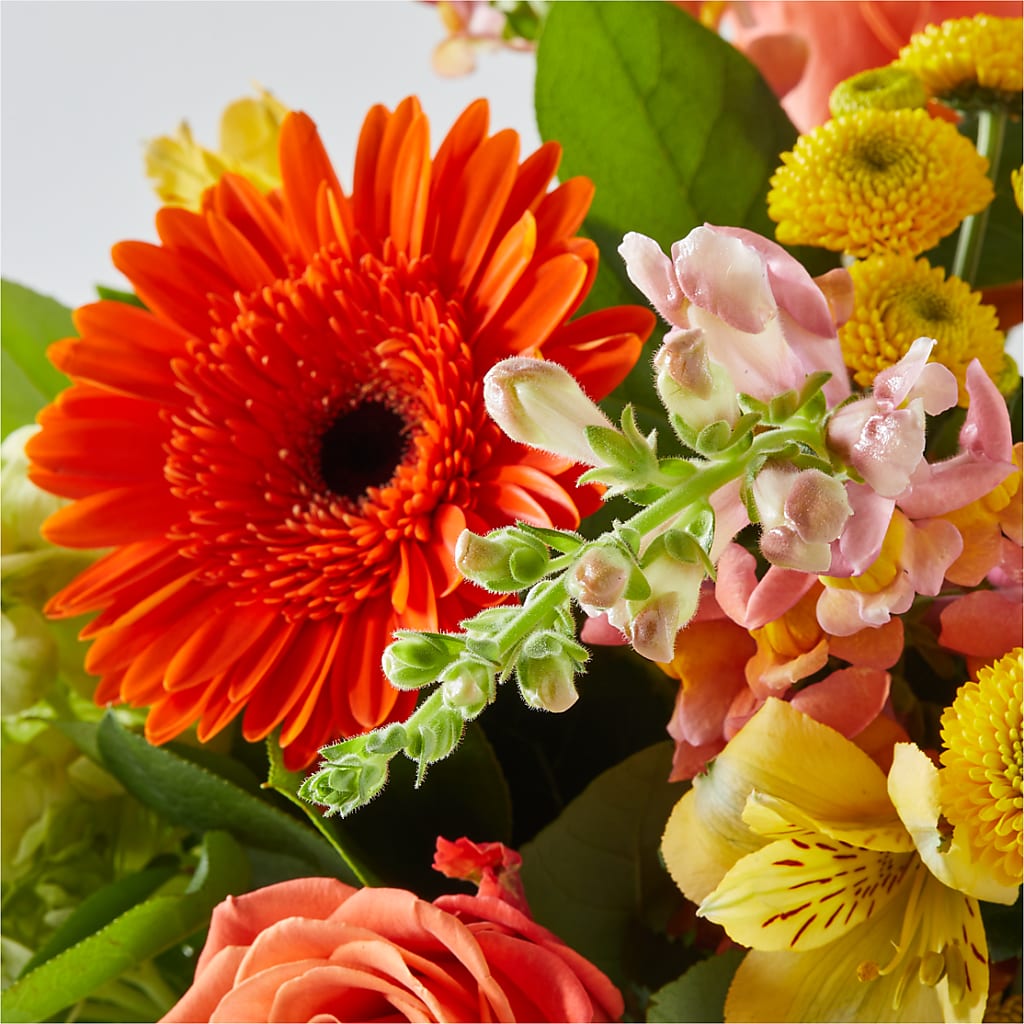 Autumn Sunshine Bouquet – POTTING BENCH FLORIST & GIFTS, Fairhaven MA