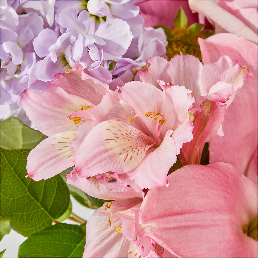 The Crown Jewel Bouquet – POTTING BENCH FLORIST & GIFTS, Fairhaven MA