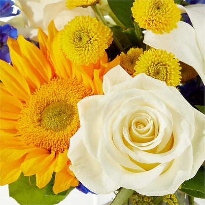 Stargazing Bouquet – POTTING BENCH FLORIST & GIFTS, Fairhaven MA