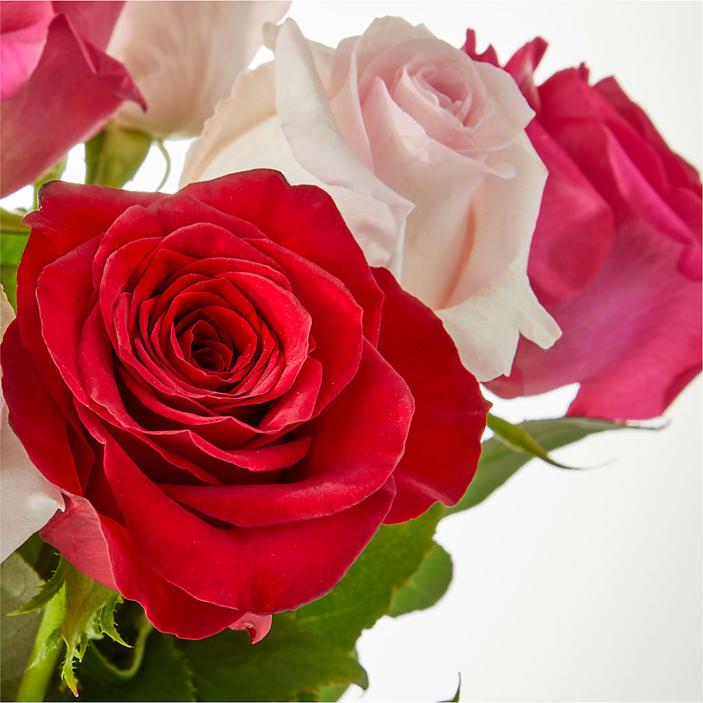 Charming Rose Bouquet – POTTING BENCH FLORIST & GIFTS, Fairhaven MA