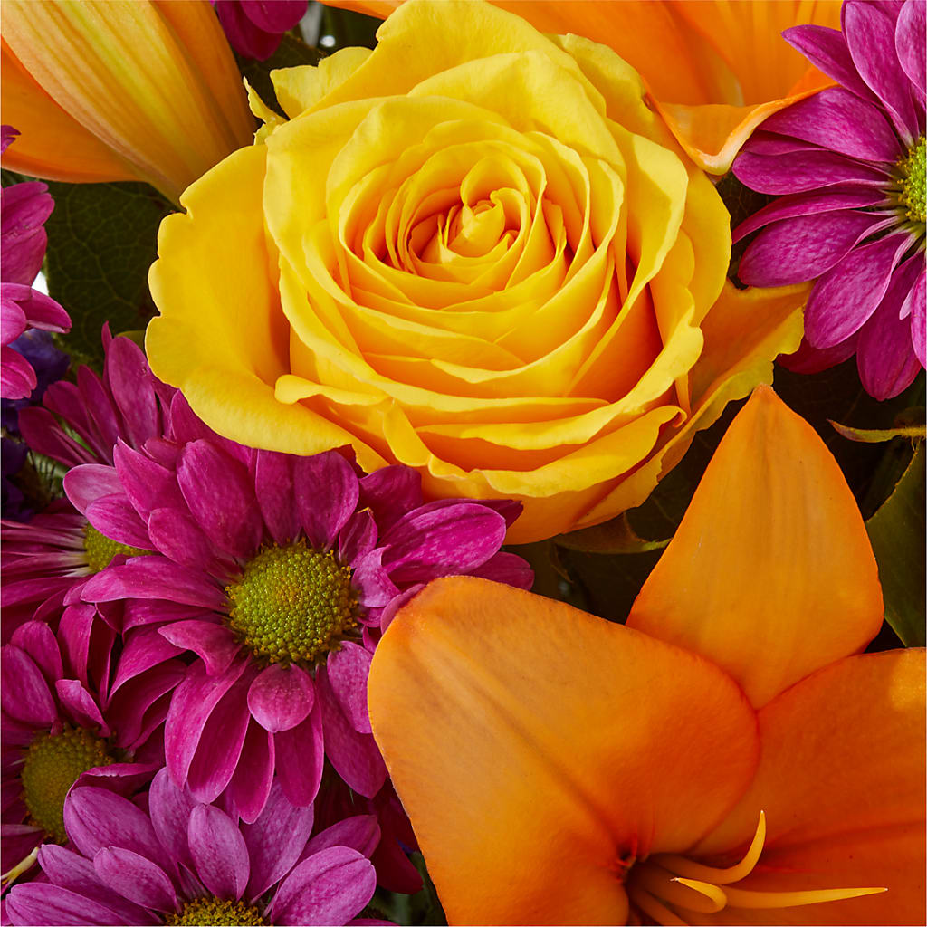 Colorful Visions Bouquet – POTTING BENCH FLORIST & GIFTS, Fairhaven MA