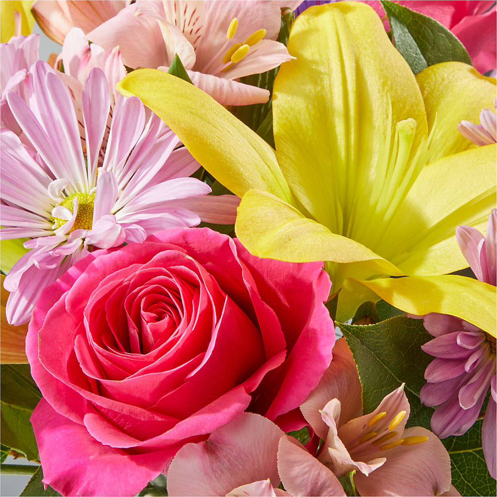 Sprinkles Bouquet – POTTING BENCH FLORIST & GIFTS, Fairhaven MA