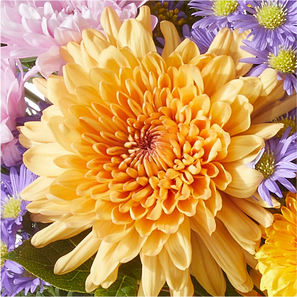 Countryside Bouquet – POTTING BENCH FLORIST & GIFTS, Fairhaven MA