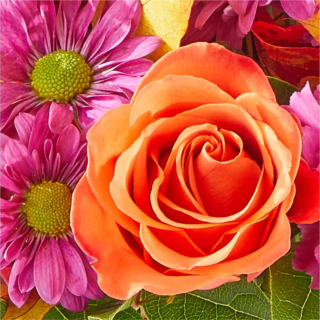 Mum's the Word Bouquet – POTTING BENCH FLORIST & GIFTS, Fairhaven MA