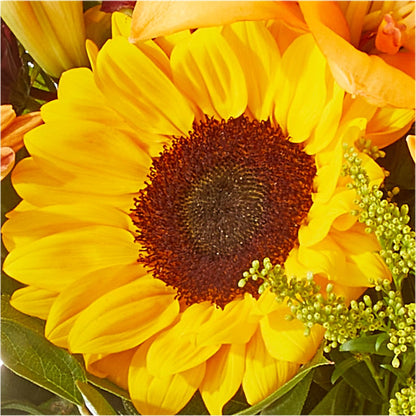 Seasons Change Bouquet – POTTING BENCH FLORIST & GIFTS, Fairhaven MA