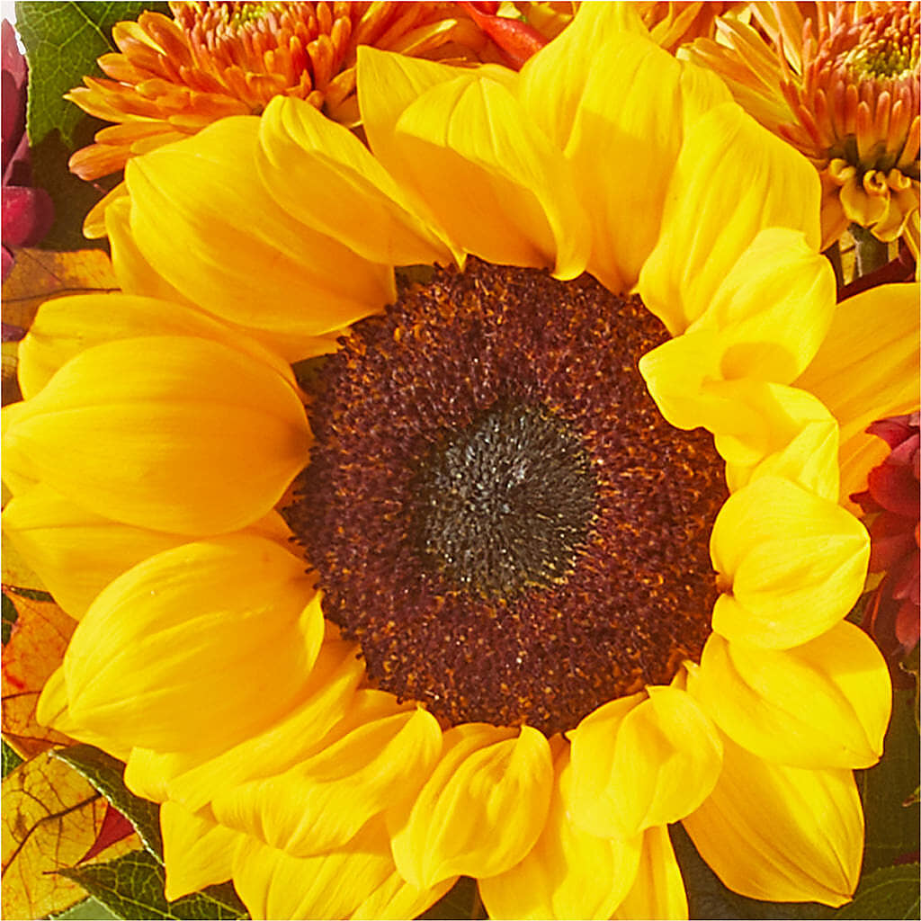Sunny Side Bouquet – POTTING BENCH FLORIST & GIFTS, Fairhaven MA