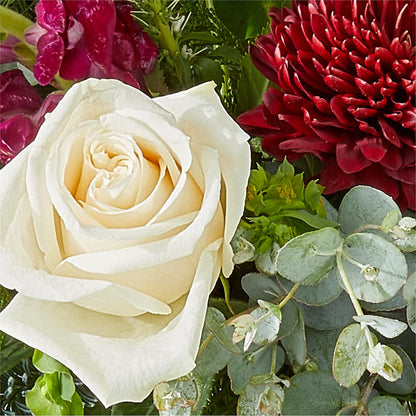 Cranberry Fizz Bouquet – POTTING BENCH FLORIST & GIFTS, Fairhaven MA