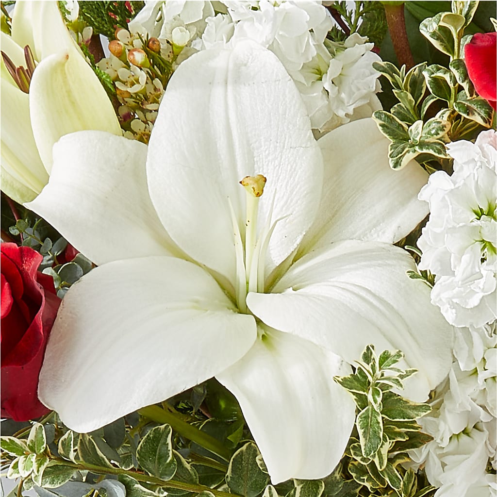 Twinkle Lights Bouquet – POTTING BENCH FLORIST & GIFTS, Fairhaven MA