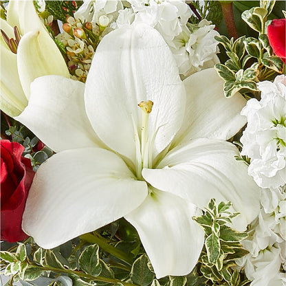 Twinkle Lights Bouquet – POTTING BENCH FLORIST & GIFTS, Fairhaven MA