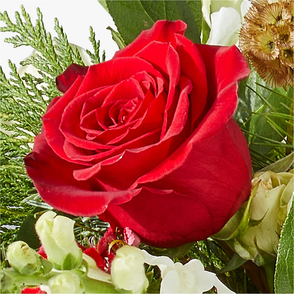 Deck the Halls Bouquet – POTTING BENCH FLORIST & GIFTS, Fairhaven MA