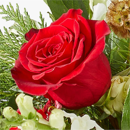 Deck the Halls Bouquet – POTTING BENCH FLORIST & GIFTS, Fairhaven MA