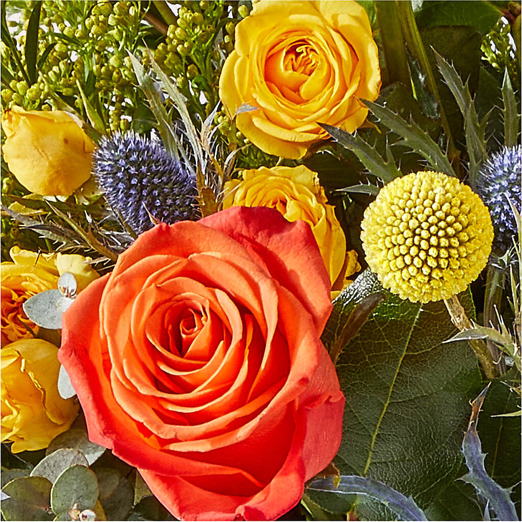 Disco Bouquet – POTTING BENCH FLORIST & GIFTS, Fairhaven MA