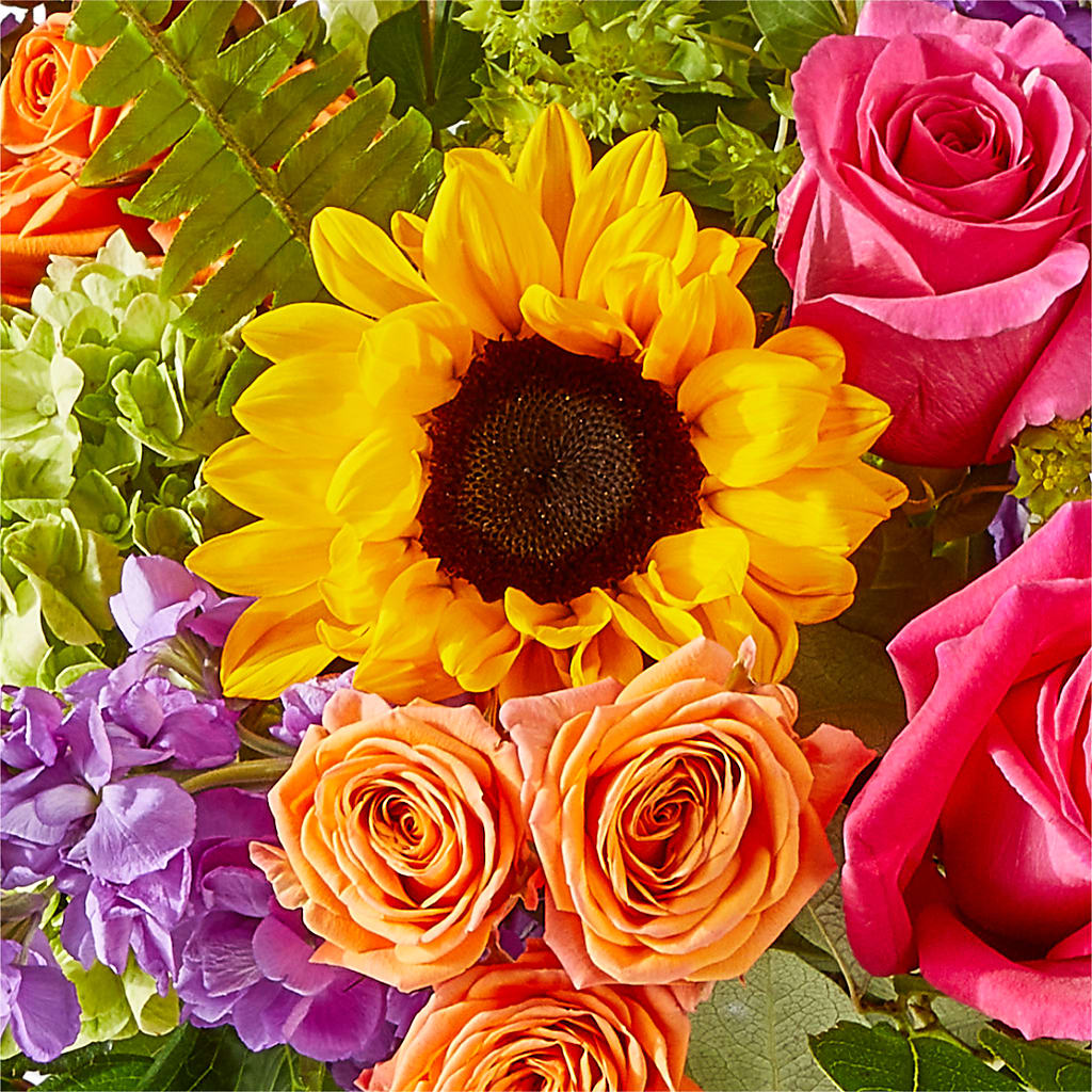Vibrant Greetings Bouquet – POTTING BENCH FLORIST & GIFTS, Fairhaven MA