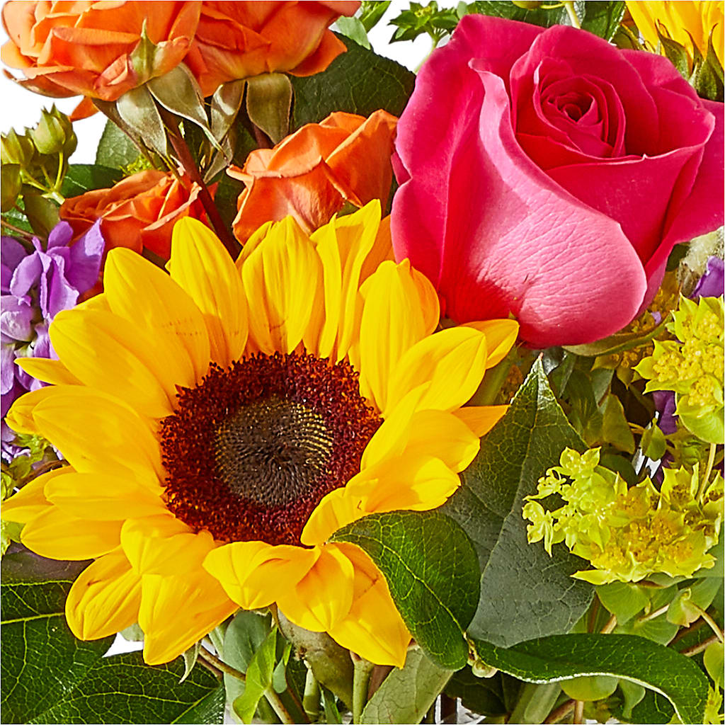 Vibrant Greetings Bouquet – POTTING BENCH FLORIST & GIFTS, Fairhaven MA