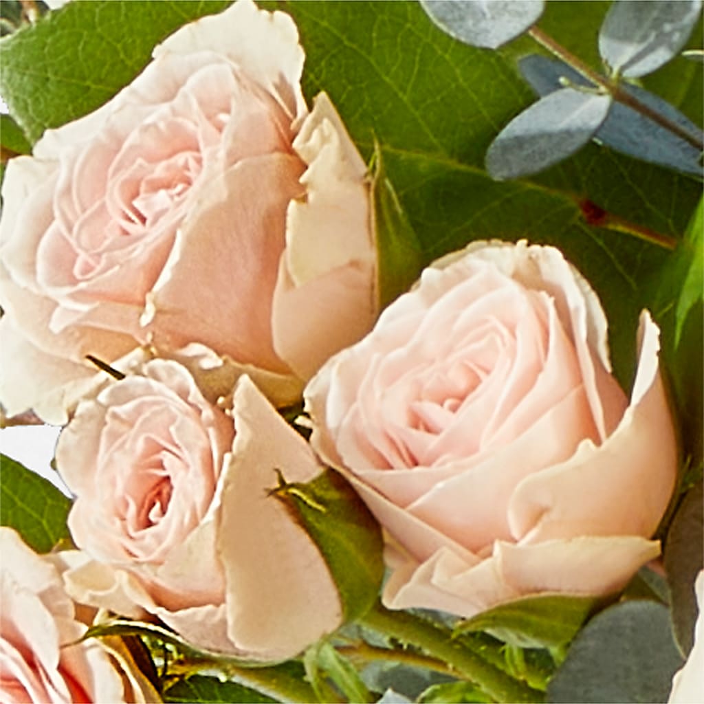 Inspired Bouquet – POTTING BENCH FLORIST & GIFTS, Fairhaven MA