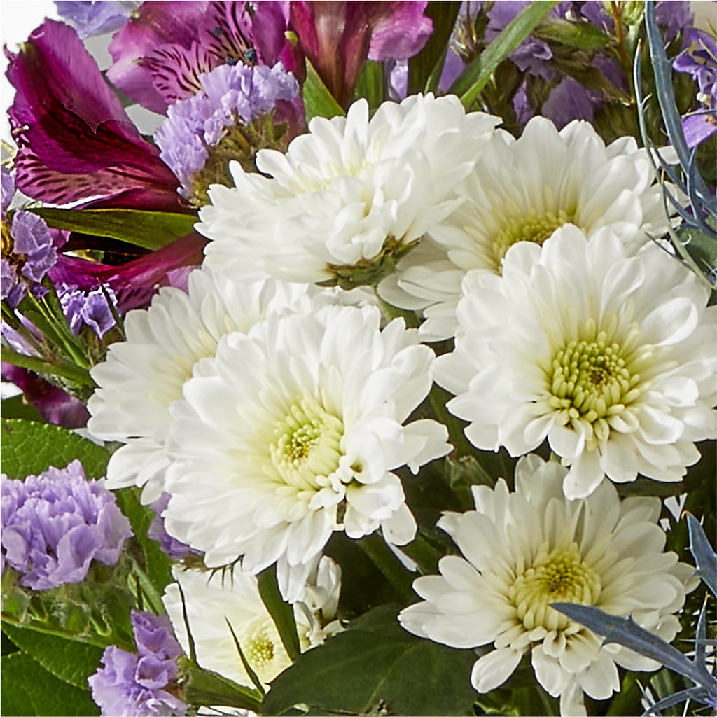 Shooting Star Bouquet – POTTING BENCH FLORIST & GIFTS, Fairhaven MA