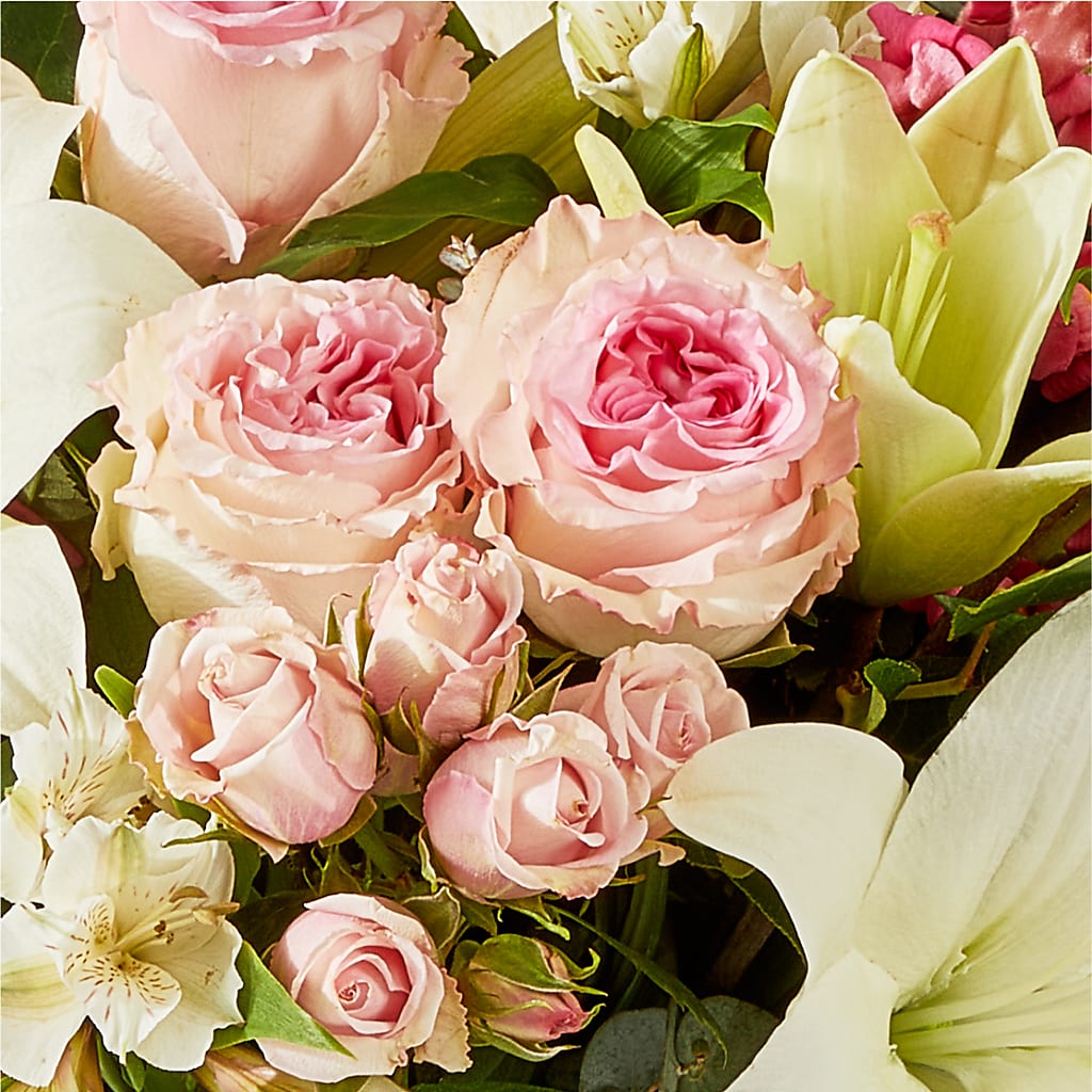 Ballet Slippers Bouquet – POTTING BENCH FLORIST & GIFTS, Fairhaven MA