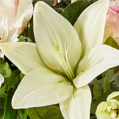 Ballet Slippers Bouquet – POTTING BENCH FLORIST & GIFTS, Fairhaven MA
