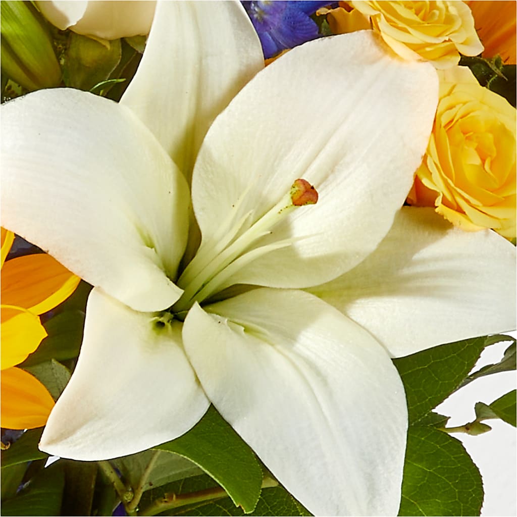 Wonderfully Sunny Bouquet – POTTING BENCH FLORIST & GIFTS, Fairhaven MA
