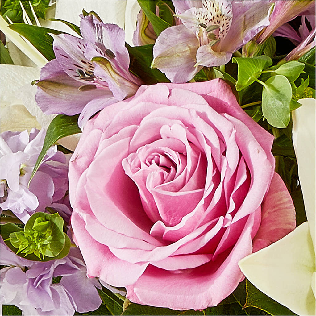 Daydreamer Bouquet – POTTING BENCH FLORIST & GIFTS, Fairhaven MA