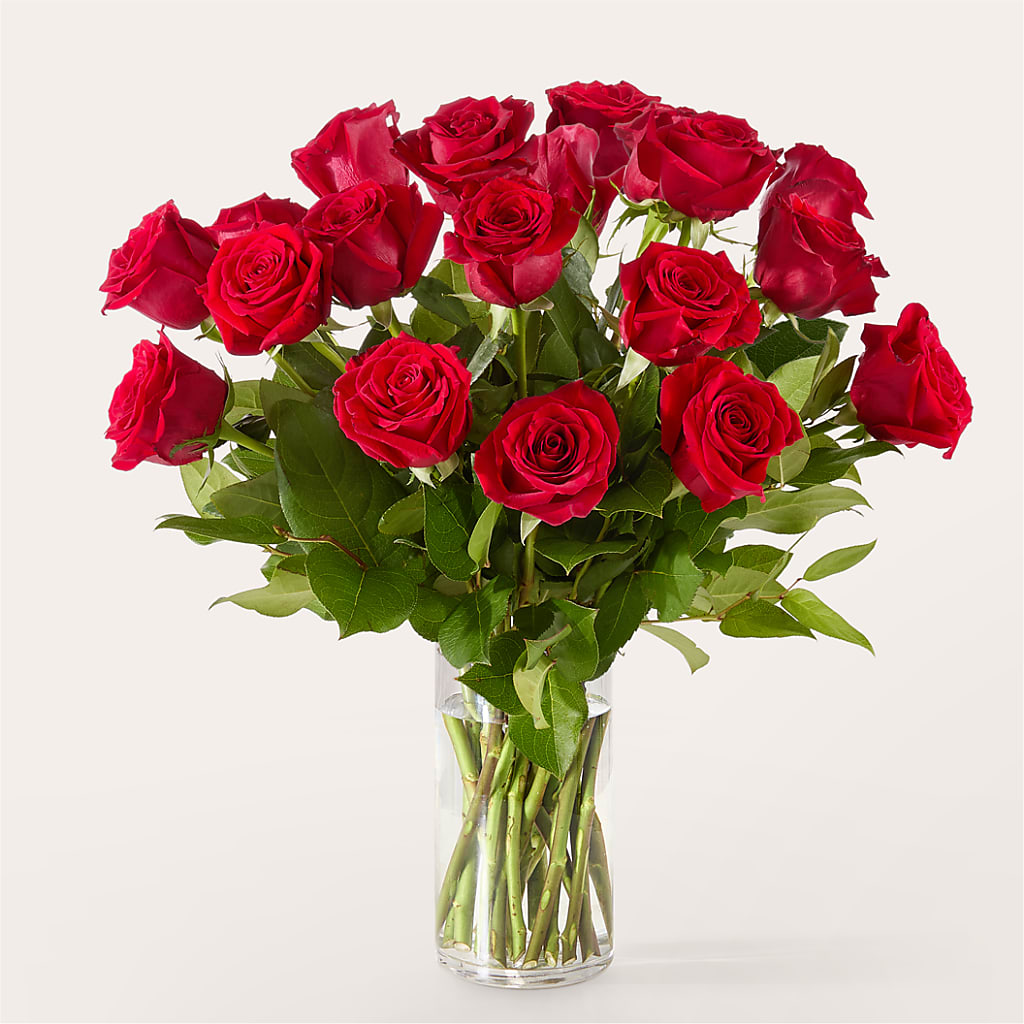 The One Red Rose Bouquet – POTTING BENCH FLORIST & GIFTS, Fairhaven MA