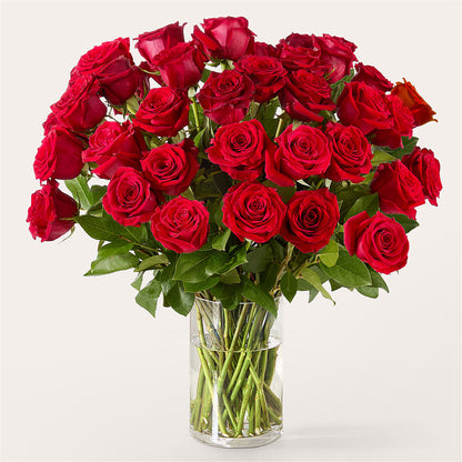 The One Red Rose Bouquet – POTTING BENCH FLORIST & GIFTS, Fairhaven MA