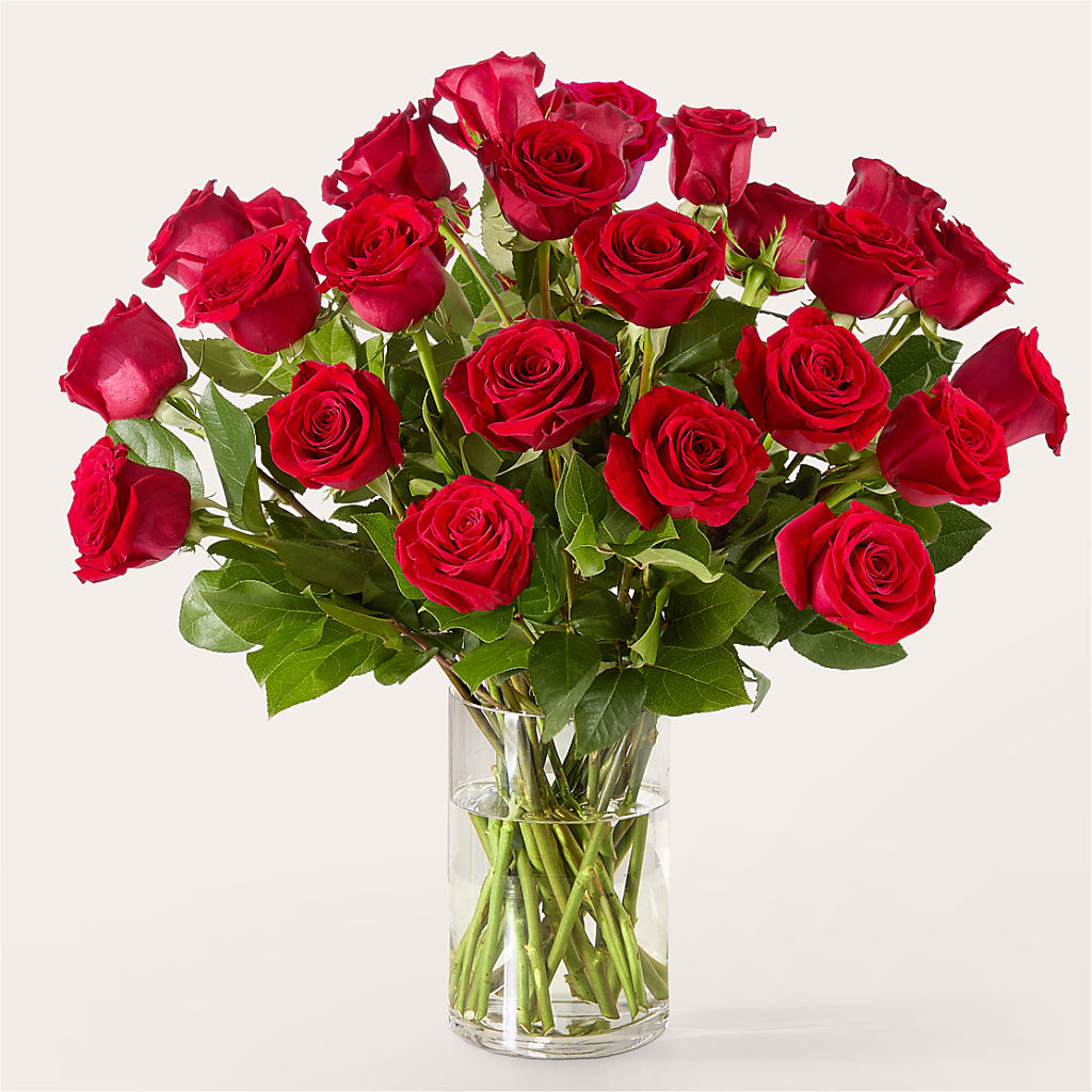 The One Red Rose Bouquet – POTTING BENCH FLORIST & GIFTS, Fairhaven MA