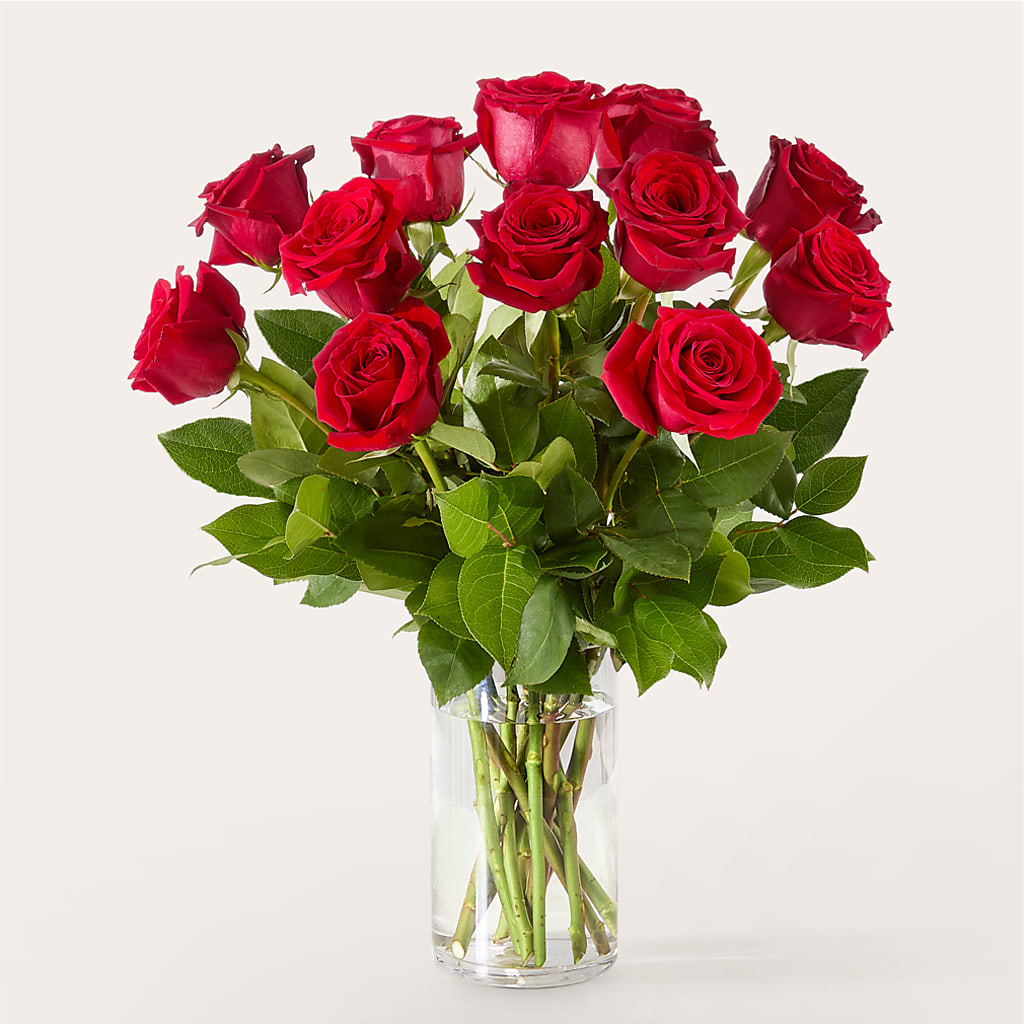 The One Red Rose Bouquet – POTTING BENCH FLORIST & GIFTS, Fairhaven MA