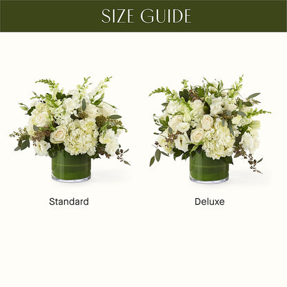 The Gallery – POTTING BENCH FLORIST & GIFTS, Fairhaven MA