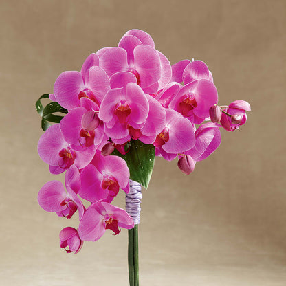 Glorious Bouquet – POTTING BENCH FLORIST & GIFTS, Fairhaven MA