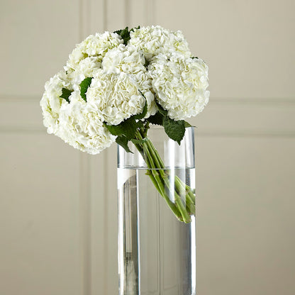 White Hydrangea Hand-Tied Bouquet – POTTING BENCH FLORIST & GIFTS, Fairhaven MA