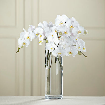 White Phalaenopsis Bouquet – POTTING BENCH FLORIST & GIFTS, Fairhaven MA