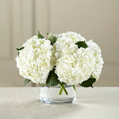 White Hydrangea Bouquet – POTTING BENCH FLORIST & GIFTS, Fairhaven MA