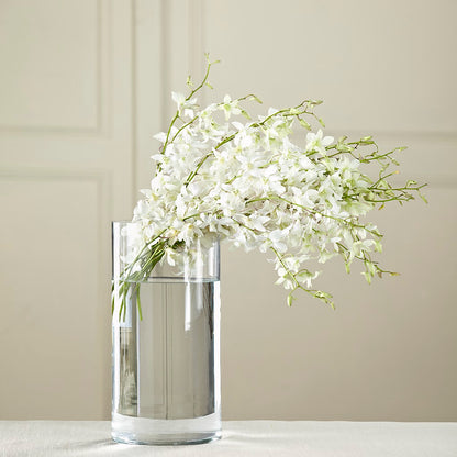 White Dendrobium Bouquet – POTTING BENCH FLORIST & GIFTS, Fairhaven MA
